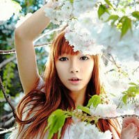 诗句人间正道是沧桑前一句